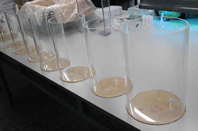 ͸���AͲ�����ӹ�