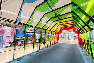 �̳��߲�����